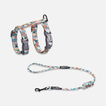 Load image into Gallery viewer, TouchCat  Cat Harness & Leash Set for Walking | H-Style Cat Harness | MissyMoMo