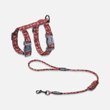 Load image into Gallery viewer, TouchCat  Cat Harness & Leash Set for Walking | H-Style Cat Harness | MissyMoMo