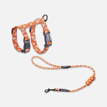 Load image into Gallery viewer, TouchCat  Cat Harness & Leash Set for Walking | H-Style Cat Harness | MissyMoMo