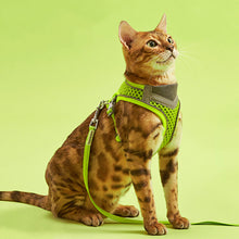 Load image into Gallery viewer, Cat in Neon Green Mesh Cat Vest Harness and Leash | MissyMoMo