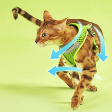 Load image into Gallery viewer, Cat in Neon Green Mesh Cat Vest Harness and Leash | MissyMoMo
