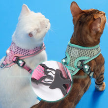 Load image into Gallery viewer, Cats in Mesh Cat Vest Harnesses | MissyMoMo