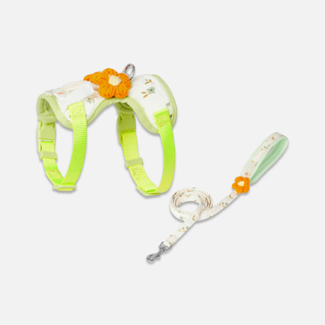Floral H-Style Cat Harness & Leash Set | MissyMoMo