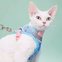 Load image into Gallery viewer, Devon Rex in Blue & Pink Cat Vest Harness | MissyMoMo