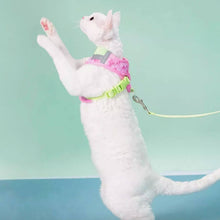 Load image into Gallery viewer, Devon Rex in Green & Pink Cat Vest Harness | MissyMoMo