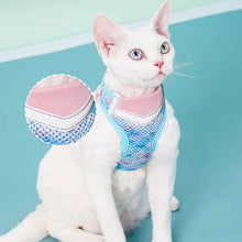 Load image into Gallery viewer, Devon Rex in Blue & Pink Cat Vest Harness | MissyMoMo