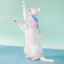 Load image into Gallery viewer, Devon Rex in Blue & Pink Cat Vest Harness | MissyMoMo