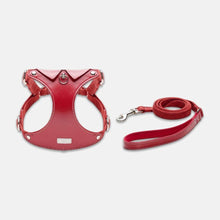 Load image into Gallery viewer, Red Leather Cat Harness & Leather Set for Walking | MissyMoMo
