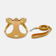 Load image into Gallery viewer, Yellow Leather Cat Harness & Leather Set for Walking | MissyMoMo