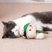 Load image into Gallery viewer, Cat with Watermelon Kitty Silvervine Cat Chew Toy | MissyMoMo