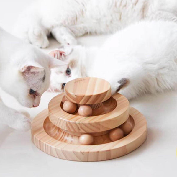 Cats Playing with Ball Track Toy | Interactive Cat Toys | MissyMoMo