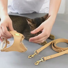 Load and play video in Gallery viewer, Putting on the Rio Cat Harness | MissyMoMo