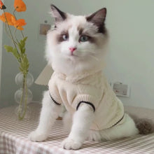 Load and play video in Gallery viewer, Cat in White Hooded Sweater | MissyMoMo
