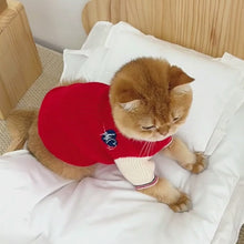 Load and play video in Gallery viewer, Preppy Sweater for Cats & Kittens | Cat Clothes | MissyMoMo