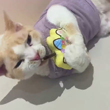 Load and play video in Gallery viewer, Cat with Cute Ice cream Silvervine Cat Chew Toy | MissyMoMo