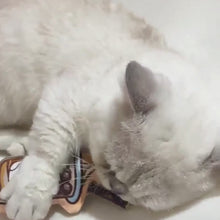 Load and play video in Gallery viewer, Cats with Cute Sundae Silvervine Cat Chew Toy | MissyMoMo