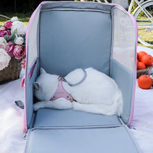 Load image into Gallery viewer, Cat Resting Inside Arkika Travel Cat Backpack With Mesh Sides | MissyMoMo