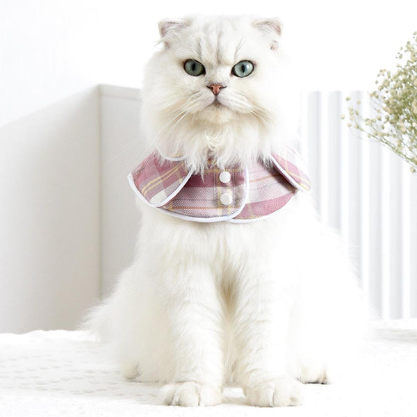 Back to School Cat Bib | Cat with Collar | MissyMoMo