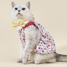 Load image into Gallery viewer, Daisy Cat Dress & Bow Set | Cat in Dress | Cat Clothes | MissyMoMo