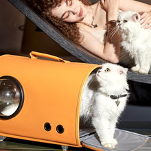 Load image into Gallery viewer, Fancy Poupée Cat Carrier | Luxurious Leather Pet Carrier for 2 Cats | MissyMoMo