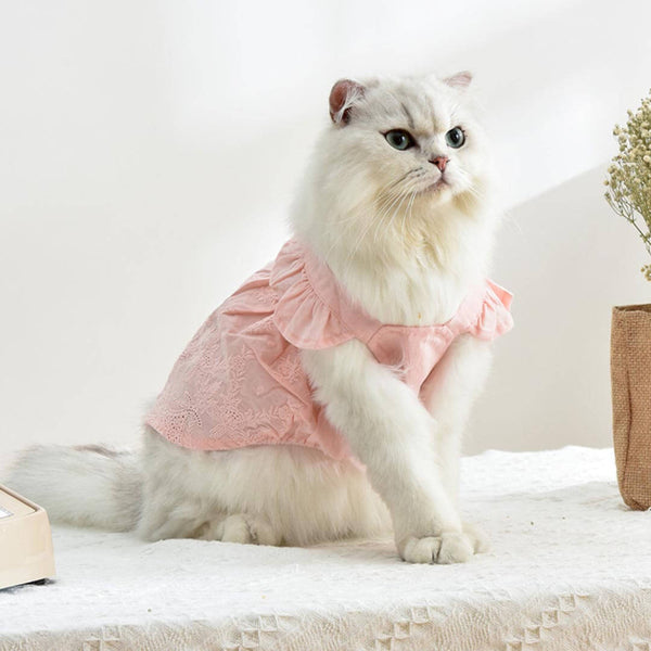 Jasmine Cat Dress | Cat in Pink Dress | Cat Clothes | MissyMoMo