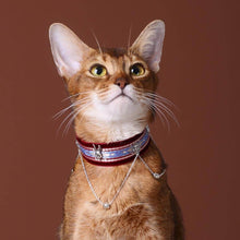 Load image into Gallery viewer, La Nuit Cat Collar | Luxurious Accessories for Cats | MissyMoMo