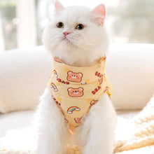 Load image into Gallery viewer, Little Bear Jacket Harness for Cats & Kittens | MissyMoMo