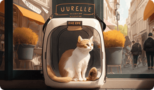 Load image into Gallery viewer, MissyMoMo Gift Card - Cafe