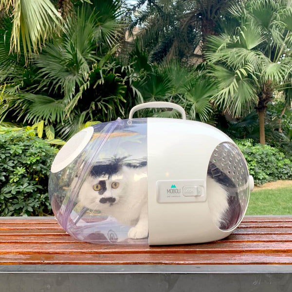 Cat in Moboli Capsule Cat Carrier on a Bench | MissyMoMo