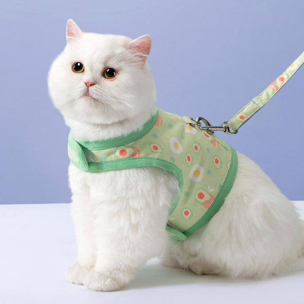 Cat Ready for a Walk in Nova Cat Harness & Leash Set | MissyMoMo