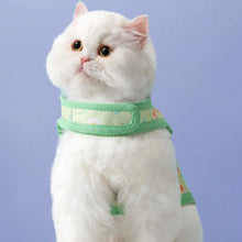Load image into Gallery viewer, Cat Wearing Nova Cat Harness in Green | MissyMoMo