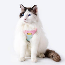 Load image into Gallery viewer, Cat Wearing Aurora Gradient Cat Harness | MissyMoMo