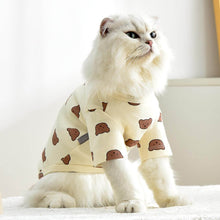 Load image into Gallery viewer, Teddy Cat T-Shirt | Cat in T-Shirt | Cat Clothes | MissyMoMo