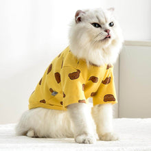 Load image into Gallery viewer, Teddy Cat T-Shirt | Cat in T-Shirt | Cat Clothes | MissyMoMo