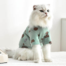 Load image into Gallery viewer, Teddy Cat T-Shirt | Cat in T-Shirt | Cat Clothes | MissyMoMo