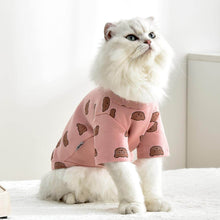 Load image into Gallery viewer, Teddy Cat T-Shirt | Cat in T-Shirt | Cat Clothes | MissyMoMo