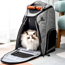 Load image into Gallery viewer, Urban Wanderer Cat Backpack for Carrying Cat | Cat in Backpack | MissyMoMo