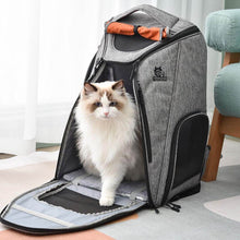 Load image into Gallery viewer, Urban Wanderer Cat Backpack for Carrying Cat | Cat in Backpack | MissyMoMo