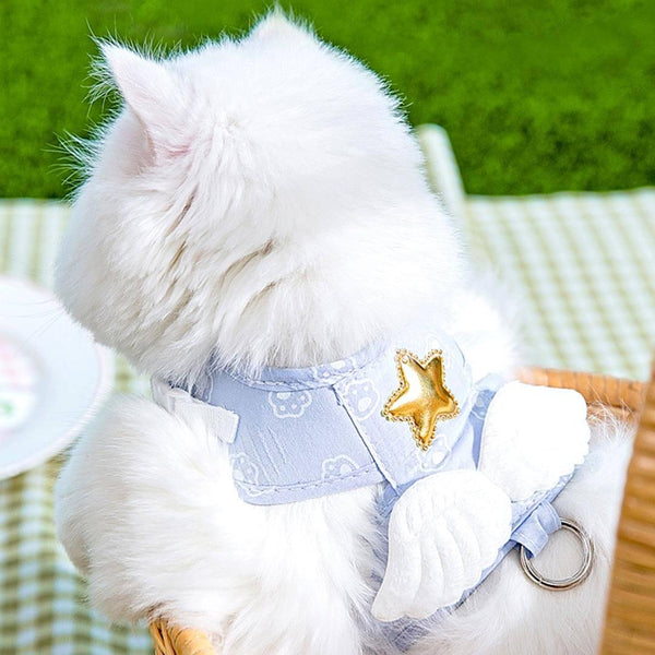 Cat Sitting in Blue Angel Harness with Wings from Back View | MissyMoMo