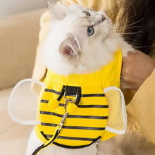 Load image into Gallery viewer, Cat Exploring Outdoors in Honeybee Cat Harness & Leash Set | MissyMoMo