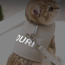 Load image into Gallery viewer, Cat in Loki Cat Harness with Reflective Letters, Night-Time View | MissyMoMo