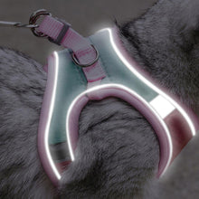 Load image into Gallery viewer, Reflective Trims on Marshmallow Reflective Cat Harness | MissyMoMo