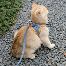 Load image into Gallery viewer, Cat Ready for a Walk in Mochi Cat Harness & Leash Set | MissyMoMo