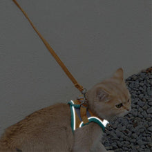 Load image into Gallery viewer, Reflective Strip on Mochi Cat Harness | MissyMoMo