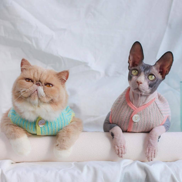 Daisy Cat Vest | Cats with Clothes | MissyMoMo