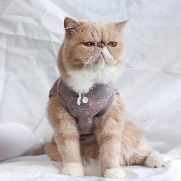 Daisy Cat Vest | Cat with Clothes | MissyMoMo