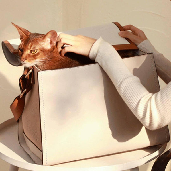 Voocoo Designer Cat Carrier | Cat Travel Carrier for Small Cats | MissyMoMo