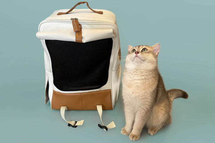 The 10 Best Cat Backpacks for Carrying Your Feline Friend