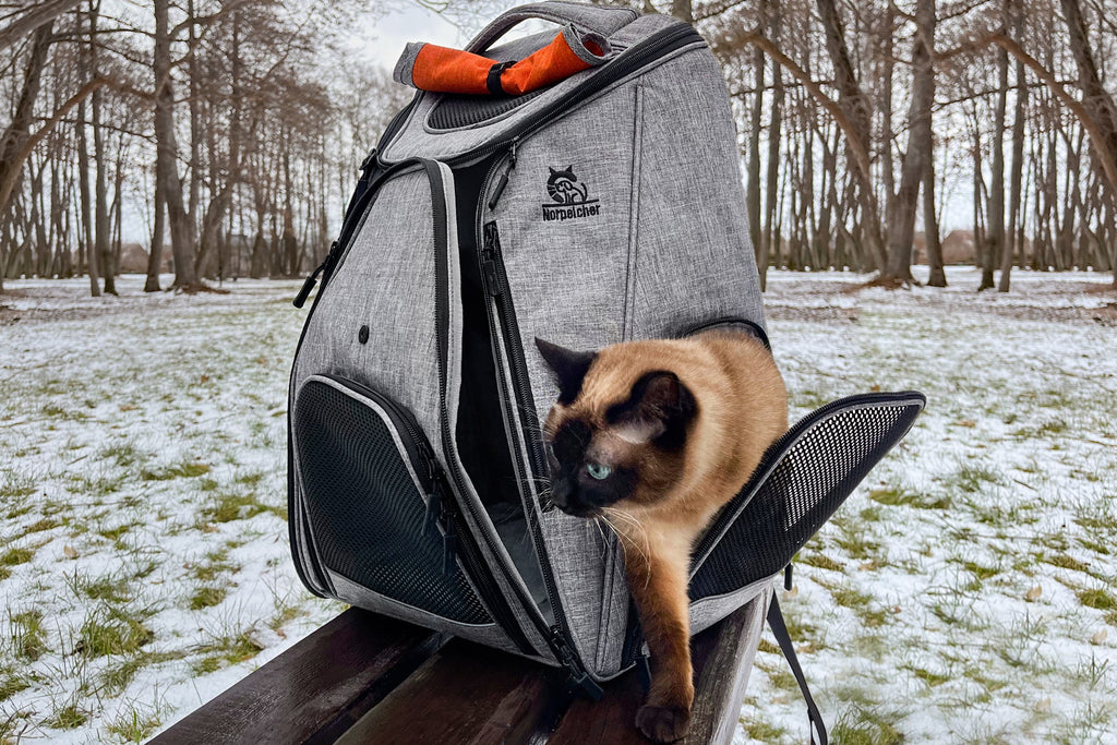 Cat Backpack Vs Carrier: Which One Is Best For Cat Travel?