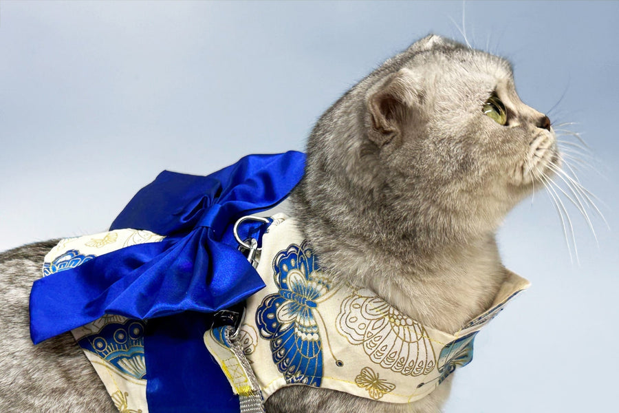 The 10 Best Gifts for Cats That Travel